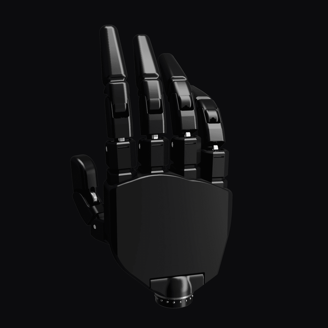 Origin BCI Titania Prosthetic Back